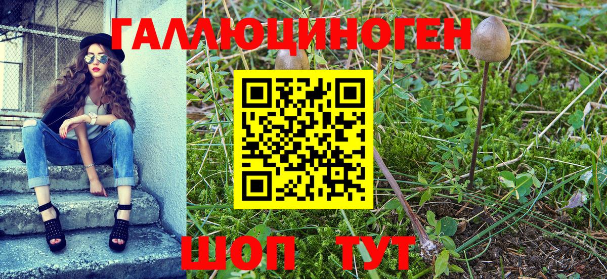 Галлюциногенные грибы Cubensis  Вход с VPN  закладки  Семилуки 
